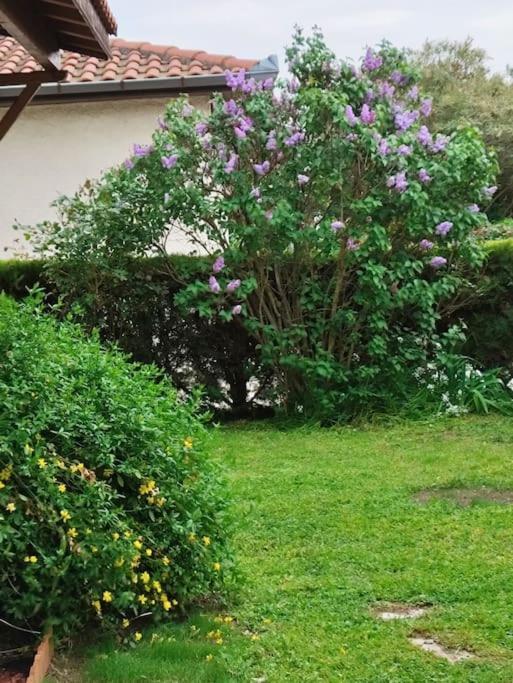 Maison Medicis - T5 Spacieuse Et Calme En Ville - Emplacement Ideal ตูลูส ภายนอก รูปภาพ